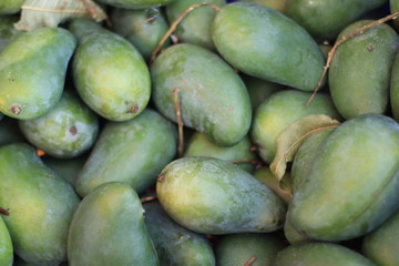 mangoes in the market