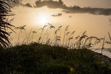 Fototapeta premium sunset on the beach in paradise