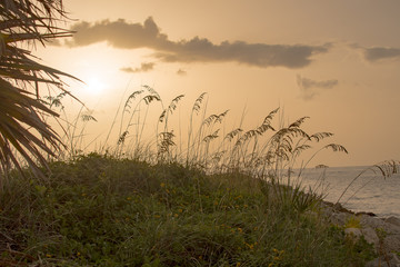 Soft orange sky at the Gulf of Mexico