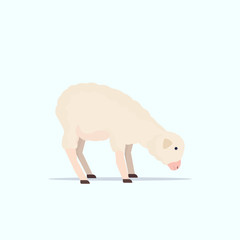 cute white sheep wool farm domestic animals breeding concept flat