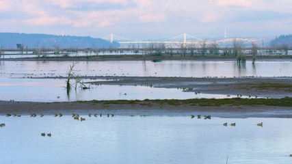 bridge over river