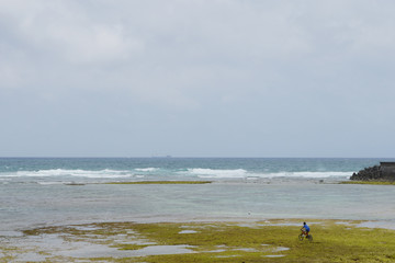 自転車で遠浅の海岸を走る少年