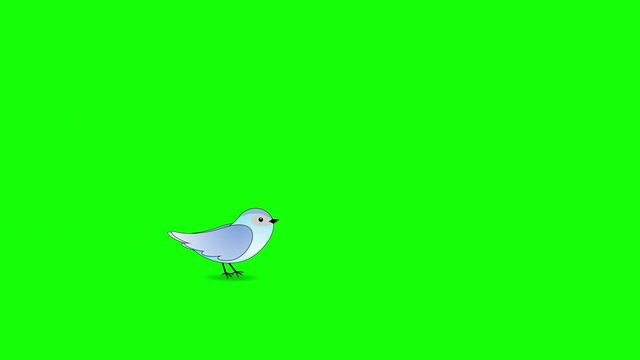 Cartoon Bird Flies in and Perches on Green Screen background