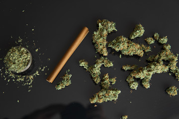 CBD and THC on buds in cannabis. Backgroun for Copy space. Hemp wraps for blunt. Cannabis buds on...