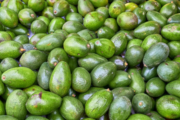 Pile of fresh avocados for sale at a market