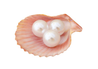 White pearls in scallop seashell isolated