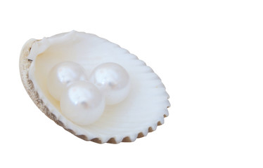 Three pearls in white seashell isolated on white