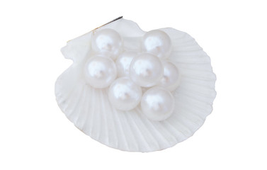 Many pearls in white seashell isolated
