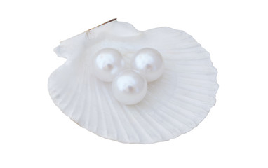 White pearls in scallop seashell isolated on white