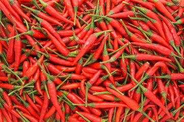 Red chili pepper background