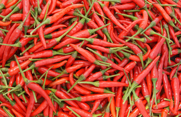 Red chili pepper background