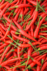 Red chili pepper background