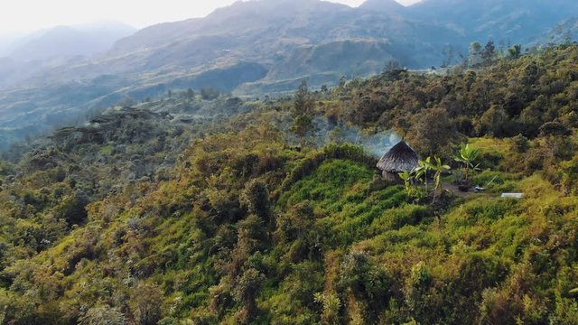 A native Papuan Hut high in the mountains of Papua, Indonesia. Jungle terrain.