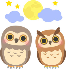 フクロウとミミズク