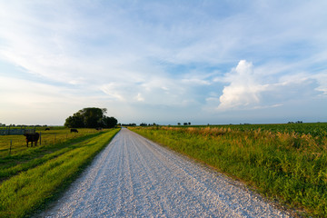 Naklejka premium Gravel country road
