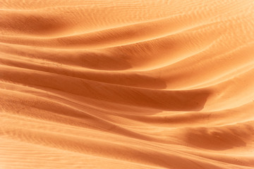 Beautiful sand dunes in the Sahara desert.