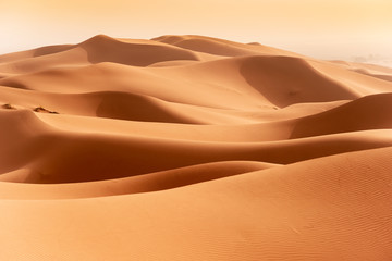Beautiful sand dunes in the Sahara desert. - obrazy, fototapety, plakaty