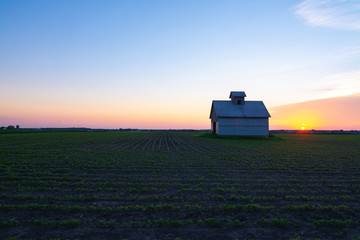 Fototapeta premium Old barn at sunset