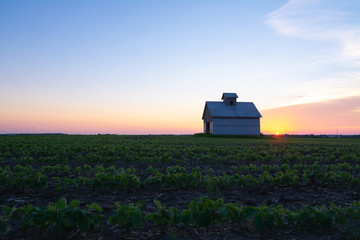 Fototapeta premium Old barn at sunset