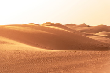 Beautiful sand dunes in the Sahara desert.