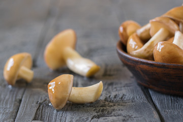 A bowl of fresh Butters and three separate mushrooms on a wooden table.
