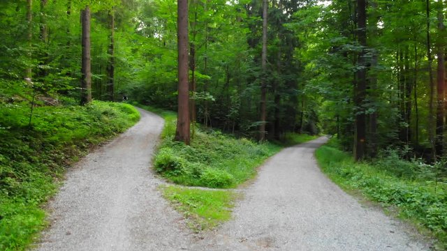Flying through and up the Forest with Roads and Bikers on it - Shot in Z&uuml;rich, Switzerland