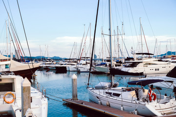 Luxury yachts docked in marina.