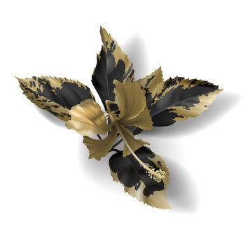 Tropical black and gold leaves on white background vector
