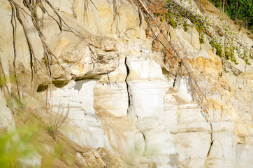 Clay precipice near the river with erosion types of relief and protruding roots of collapsed trees of the Northern tundra in Yakutia near.