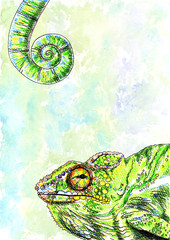 Illustration with watercolor painted chameleon. Design full-color chameleon, color lizard, watercolor chameleon © Tatyana