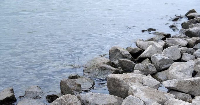 Rocky bank of the river rhine in cologne, germany