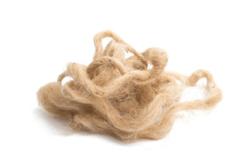 sheep wool isolated