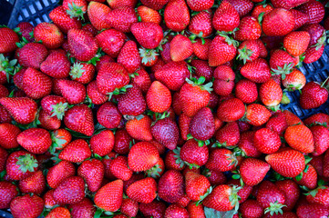 Fresas