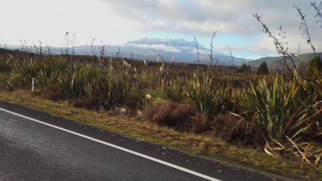 Mt. Ruapehu from the highway, central plateau, New Zealand
