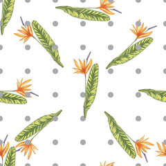 Tropic vintage background. Botanical vector illustration. Jungle flower botanical strelitzia pattern.