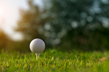 golf ball on tee in a beautiful golf course with morning sunshine