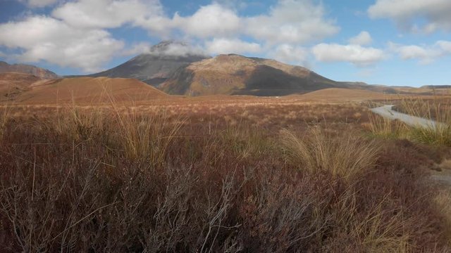 A sweeping vista with Mt. Ngauruhoe in the background, tongariro, New Zealand