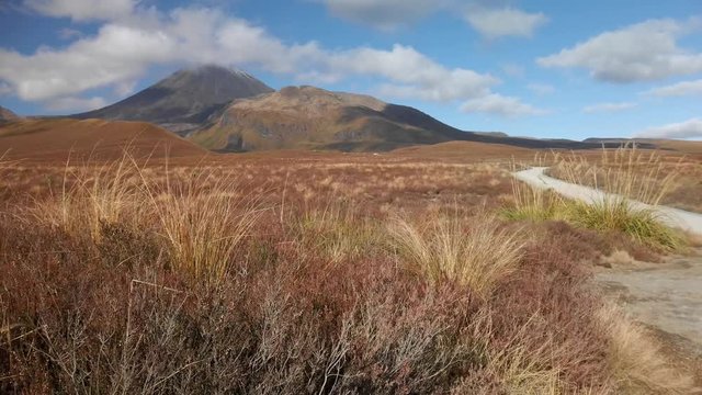 A sweeping vista with Mt. Ngauruhoe in the background, tongariro, New Zealand