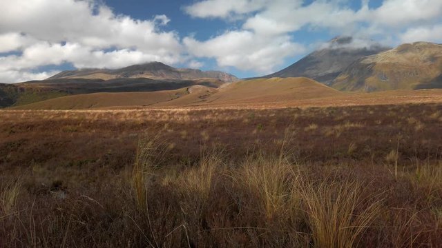 A sweeping vista with Mt. Ngauruhoe in the background, tongariro, New Zealand