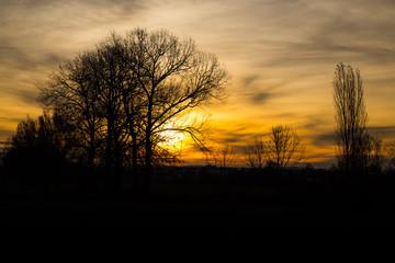 Naklejka premium Orange sunrise in autumn 2 