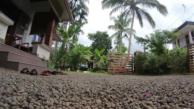 Crawling on a verandah in Kerala