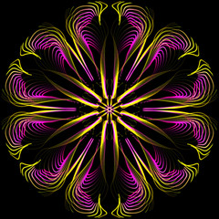 Multicolored Mandala