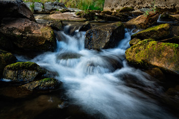 Fototapeta na wymiar Mountain stream in Snowy Mountains