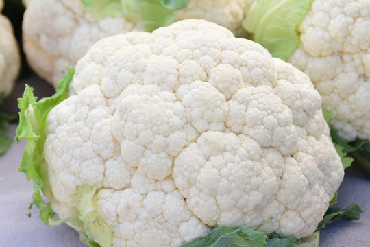 Organic White Cauliflower at the Farmer's Market