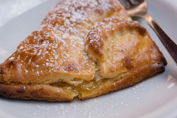 Close up of tasty hand made apple pie with sugar powder decoration