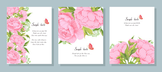 Pink peony flowers leaves buds and leaves herbs and butterfly on white.