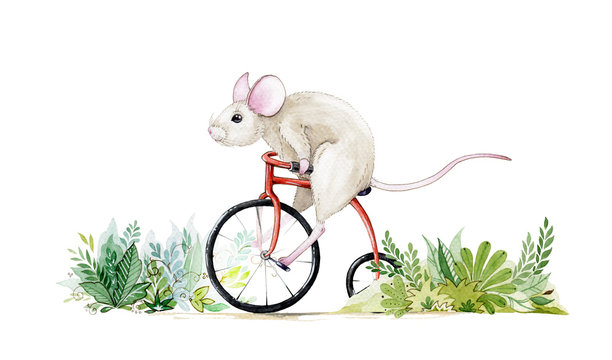 Cute little mouse riding a bike through the bushes watercolor illustration. Hand drawn water colour art of a rat, isolated on white background. Perfect for greeting cards, trendy prints 