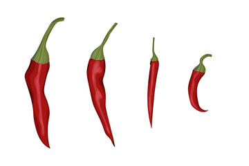 Red chili pepper