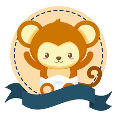 cute little monkey in frame with ribbon baby