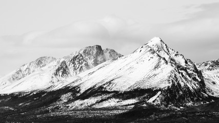 View of mountain peaks and snow in winter time, High Tatras - black and white. 